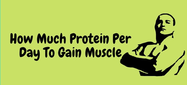 How-Much-Protein-Per-Day-To-Gain Muscle