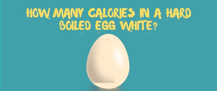 How Many Calories In A Hard Boiled Egg White Bestproteineverywhere